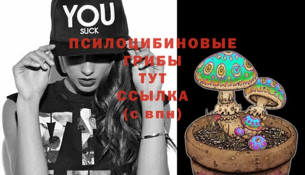 МДМА Беломорск