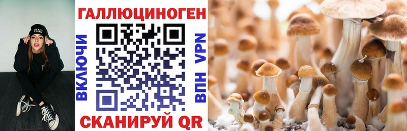 Псилоцибиновые грибы Psilocybe  Олёкминск 